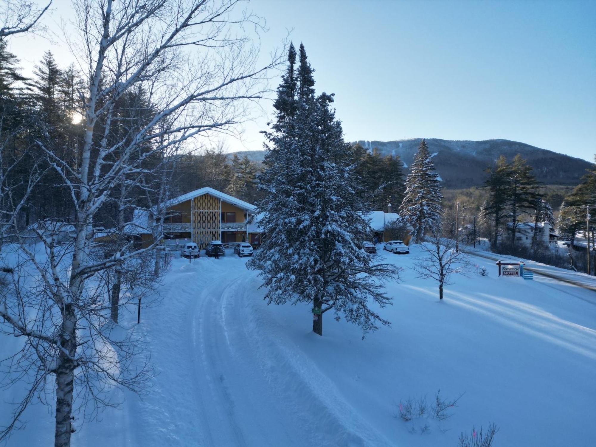 Snowdon Chalet Motel Londonderry Dış mekan fotoğraf